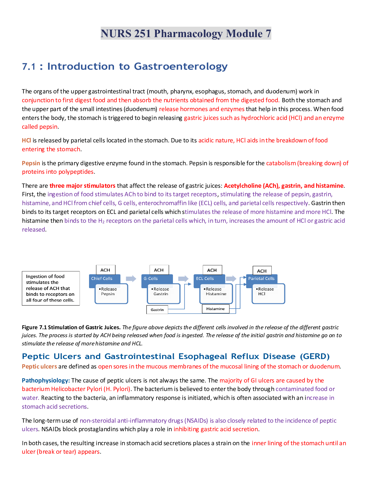 Preview image of NURS 251 Pharmacology Module 7- Portage Learning document